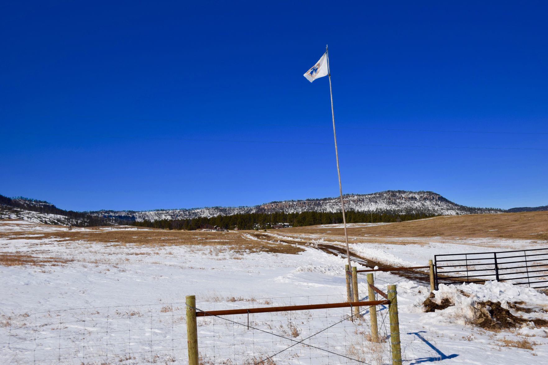 032918-nws-readerphoto